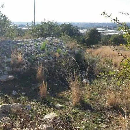Casato Licitra